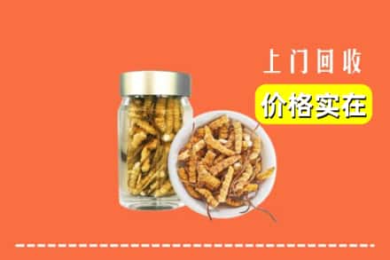 收购资讯:巴中市回收散虫草
