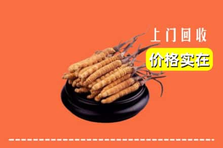 巴中市回收冬虫夏草