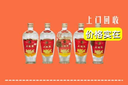 巴中市回收老五粮液